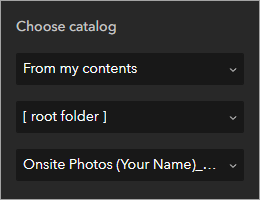 Choose catalog parameters for your photos