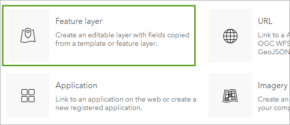 Feature layer option