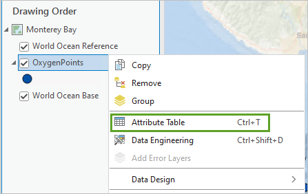 Attribute Table option