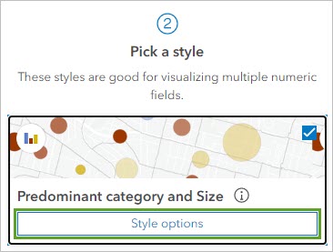 Style options button for the Predominant category and Size style