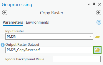 Browse button for Output Raster Dataset in the Copy Raster tool