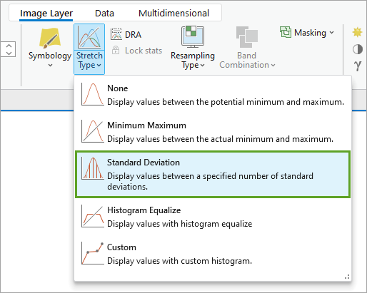 Stretch Type options for an image layer