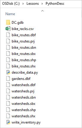 Folder contents in Windows File Explorer