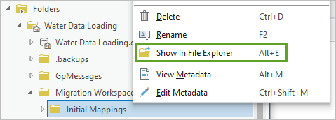 Show In File Explorer