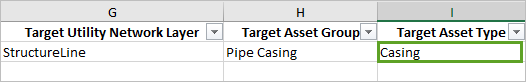 Casing in the Target Asset type column