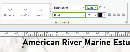 Text Symbol set to Bold and 12 pt on the ribbon