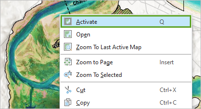 Activate option in the map frame's context menu