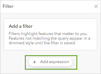 Add expression button on the Filter pane