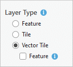 Layer Type options