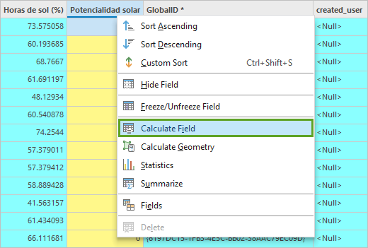 Calculate Field option in the field's context menu