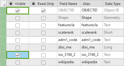 Visible column checked for two rows