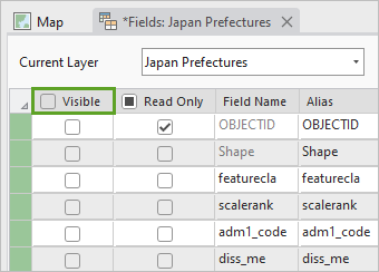 Visible column in fields view