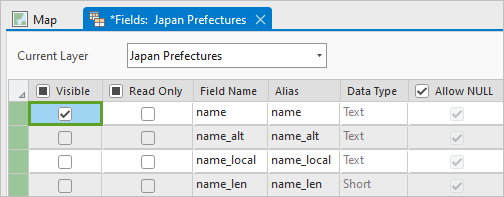 Visible column checked for the name field