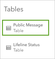 The Public Message table