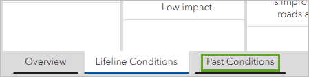 Past Conditions tab