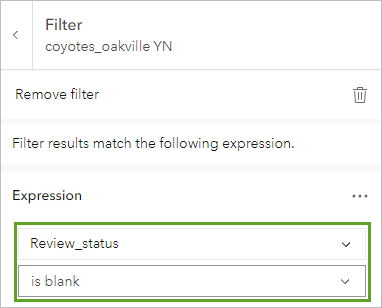 Expression set to Review_status is blank.