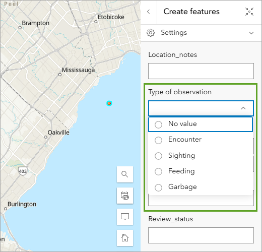 Type of observation menu