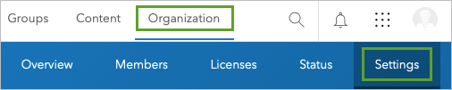 Settings tab on the Organization page