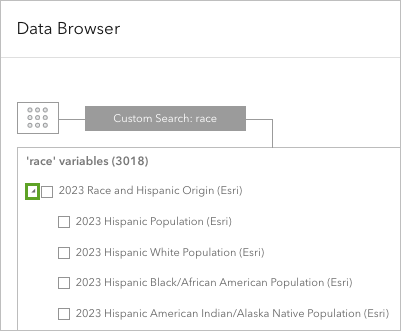 The 2023 Race and Hispanic Origin (Esri) variable category expanded in the Data Browser.