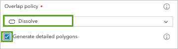 Overlap policy parameter set to Dissolve and Generate detailed polygons checked.