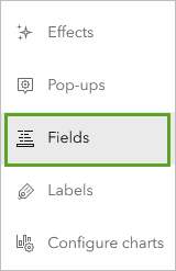 Fields on the Settings toolbar