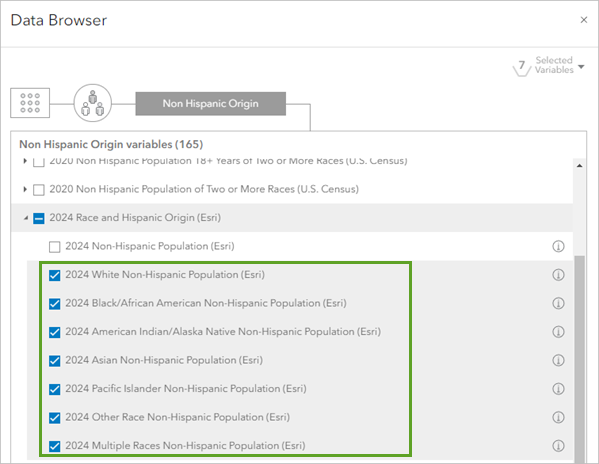 Race variables in the Data Browser window