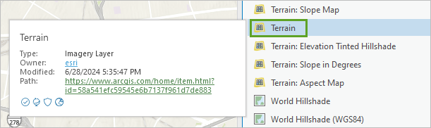 Terrain imagery layer in the Portal list