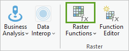 Raster Functions button