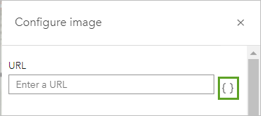 Add field button for URL parameter in Configure image pane
