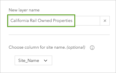 New layer name option