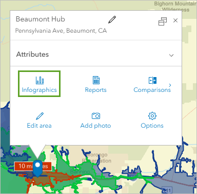 Infographics button in the site pop-up