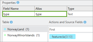 Field Name and Alias changed to type