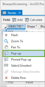 Show attributes in pop-up.