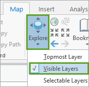 Explore visible layers.