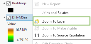 Zoom To Layer menu option