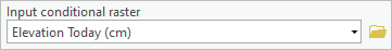 Input conditional raster