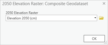 2050 Elevation Raster parameter