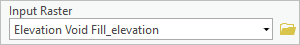 Input Raster parameter