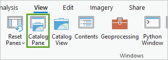 Catalog Pane button