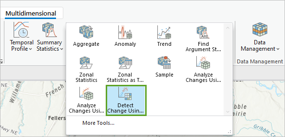 Detect Change Using Change Analysis Raster button