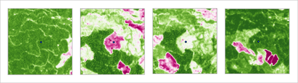 Images showing the change over time