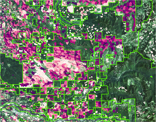 Forest management boundaries