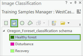 Select Healthy Forest and click the Polygon tool.
