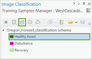 Select Healthy Forest and click the Polygon tool.