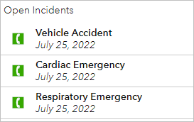 Open Incidents list filtered for Vehicle Accidents