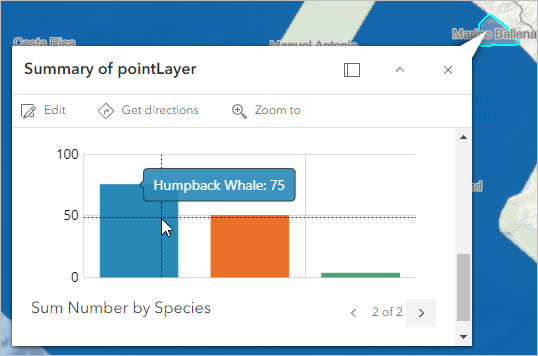 Marino Ballena pop-up with bar chart