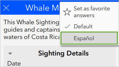 Language menu to change from Default to Español