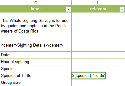 Relevant expression for species of turtle