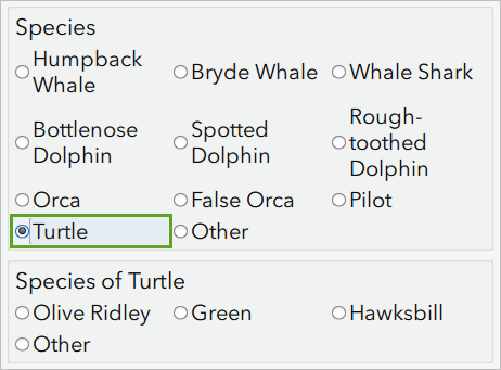 Turtle answer to species question