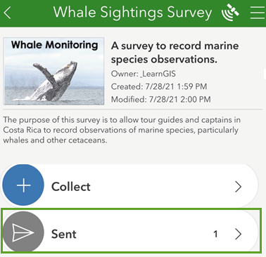 Solved: English/Spanish survey is showing dashes and other